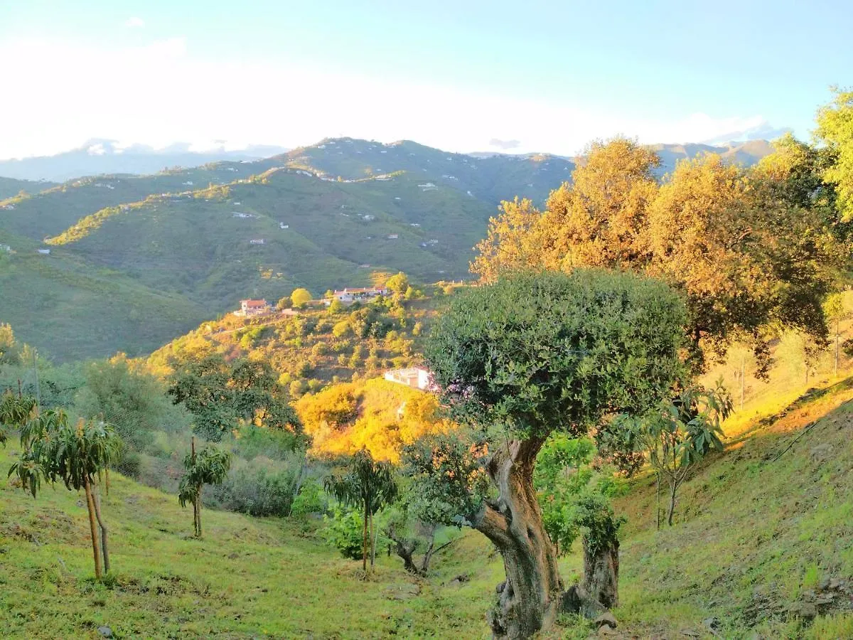 Villa Las Encinas Costa Del Sol Torrox 0*,  Spain